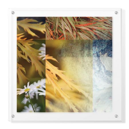 Michelle Joyce Limited Edition Ready to Hang Giclee on Clear Acrylic: "Remedy"