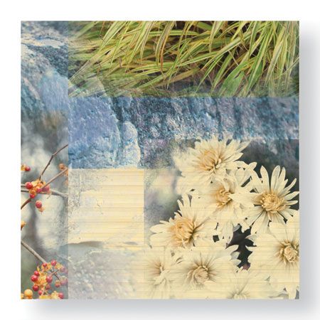 Michelle Joyce Limited Edition Ready to Hang Giclee on Sustainable Bamboo: "Fusion"