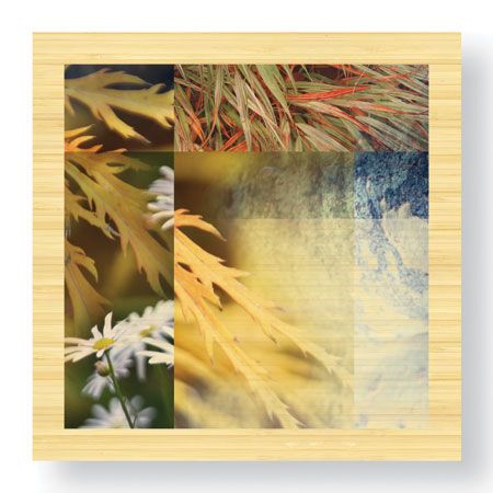 Michelle Joyce Limited Edition Ready to Hang Giclee on Sustainable Bamboo: "Remedy"