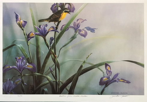 Michl DumasArtist Hand-signed Limited Edition Lithograph: "QUIETUDE - YELLOW THROATED WARBLER" Michl DumasArtist Hand-signed Limited Edition Lithograph: "QUIETUDE - YELLOW THROATED WARBLER"