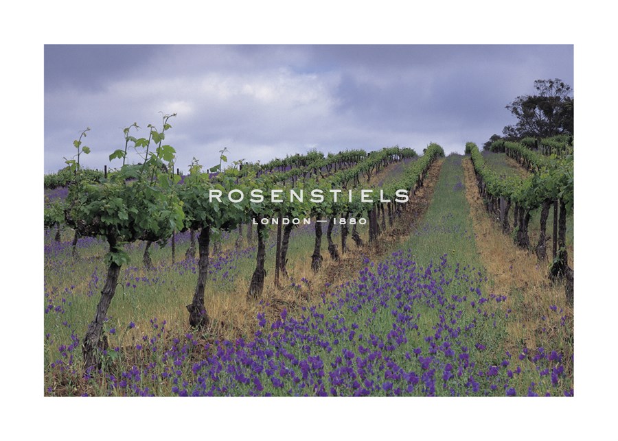 Mick Rock Hand Numbered Limited Edition Print on Paper :"Wendouree Cellars Vineyard"