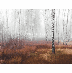 Gallerydirectart