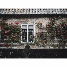 Gallerydirectart