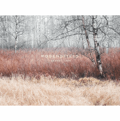 Gallerydirectart