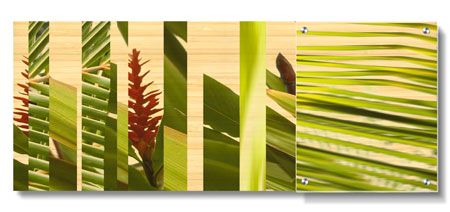 MJ Lew Limited Edition Ready to Hang Giclee on Acrylic on Sustainable Bamboo: "Tropical Views II"