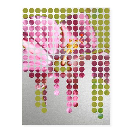 MJ Lew Limited Edition Ready to Hang Giclee on Brushed Aluminum: "Flower Mosaic II"