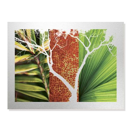 MJ Lew Limited Edition Ready to Hang Giclee on Brushed Aluminum: "Rainforest Life I"