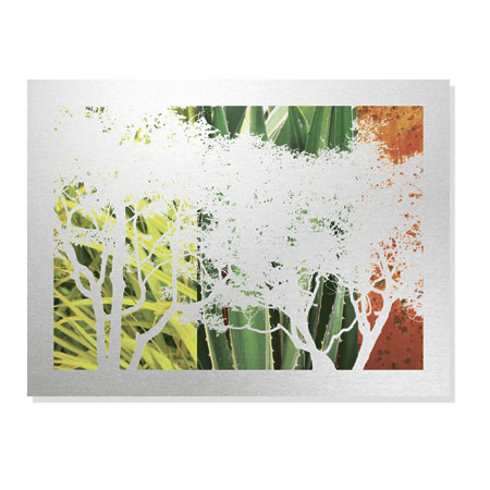 MJ Lew Limited Edition Ready to Hang Giclee on Brushed Aluminum: "Rainforest Life II"