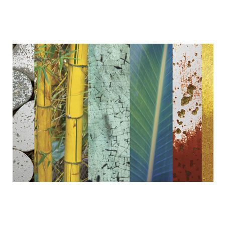 MJ Lew Limited Edition Ready to Hang Giclee on Brushed Aluminum: "Rainforest Zen II"