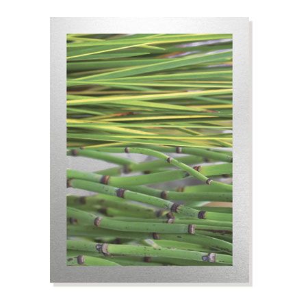 MJ Lew Limited Edition Ready to Hang Giclee on Brushed Aluminum: "Secret Garden I"