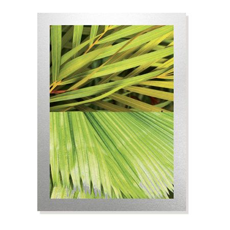 MJ Lew Limited Edition Ready to Hang Giclee on Brushed Aluminum: "Secret Garden II"