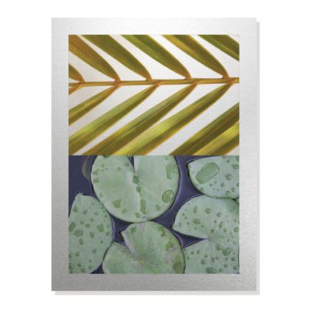 MJ Lew Limited Edition Ready to Hang Giclee on Brushed Aluminum: "Secret Garden III"