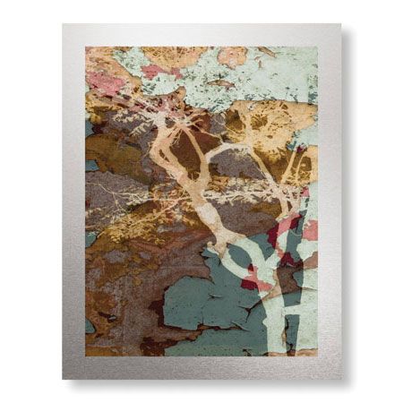 MJ Lew Limited Edition Ready to Hang Giclee on Brushed Aluminum: "Weathered Trees in Blue 1"