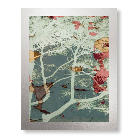 MJ Lew Limited Edition Ready to Hang Giclee on Brushed Aluminum: "Weathered Trees in Blue 2"