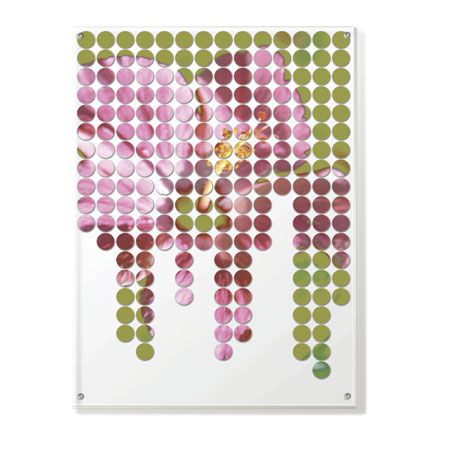 MJ Lew Limited Edition Ready to Hang Giclee on Clear Acrylic: "Flower Mosaic II"