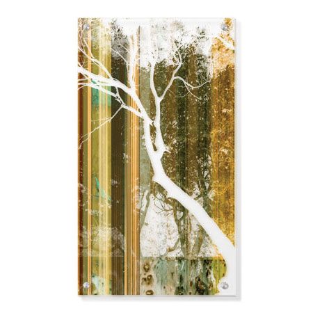 MJ Lew Limited Edition Ready to Hang Giclee on Clear Acrylic: "Forest Study"