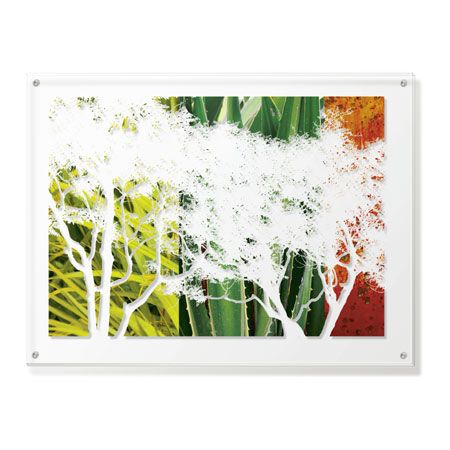 MJ Lew Limited Edition Ready to Hang Giclee on Clear Acrylic: "Rainforest Life II"