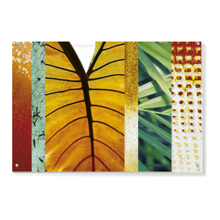 MJ Lew Limited Edition Ready to Hang Giclee on Clear Acrylic: "Rainforest Zen I"