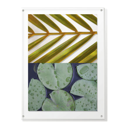 MJ Lew Limited Edition Ready to Hang Giclee on Clear Acrylic: "Secret Garden III"