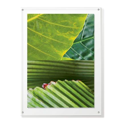 MJ Lew Limited Edition Ready to Hang Giclee on Clear Acrylic: "Secret Garden IV"