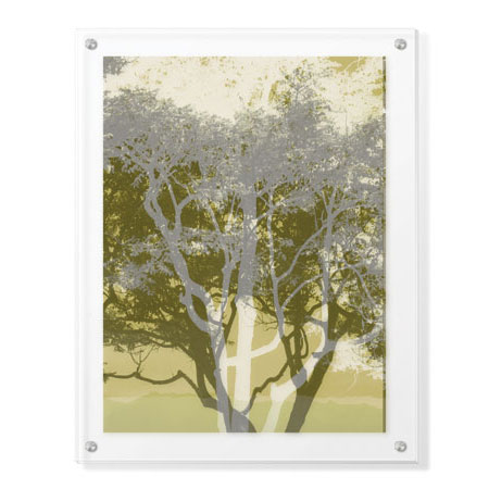 MJ Lew Limited Edition Ready to Hang Giclee on Clear Acrylic: "Views of Trees 3"