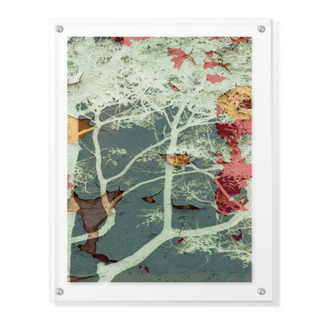 MJ Lew Limited Edition Ready to Hang Giclee on Clear Acrylic: "Weathered Trees in Blue 2"