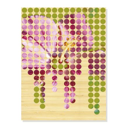 MJ Lew Limited Edition Ready to Hang Giclee on Sustainable Bamboo: "Flower Mosaic II"