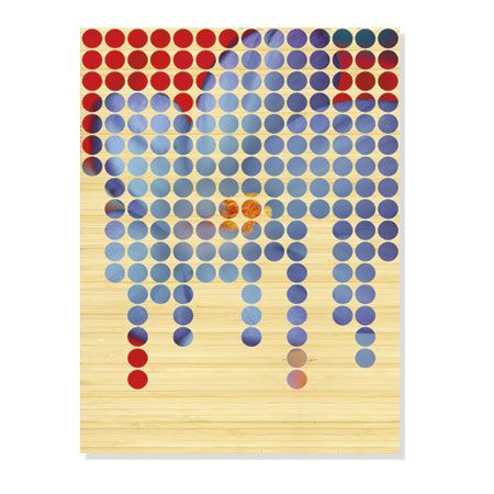 MJ Lew Limited Edition Ready to Hang Giclee on Sustainable Bamboo: "Flower Mosaic III"