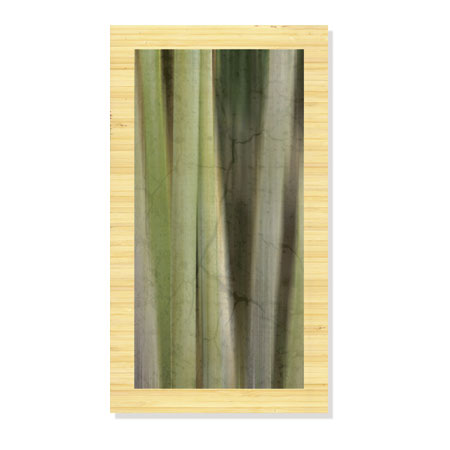 MJ Lew Limited Edition Ready to Hang Giclee on Sustainable Bamboo: "Hidden Bamboo II"