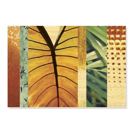 MJ Lew Limited Edition Ready to Hang Giclee on Sustainable Bamboo: "Rainforest Zen I"