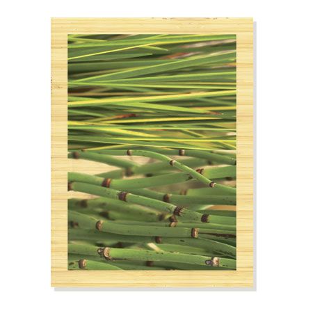 MJ Lew Limited Edition Ready to Hang Giclee on Sustainable Bamboo: "Secret Garden I"