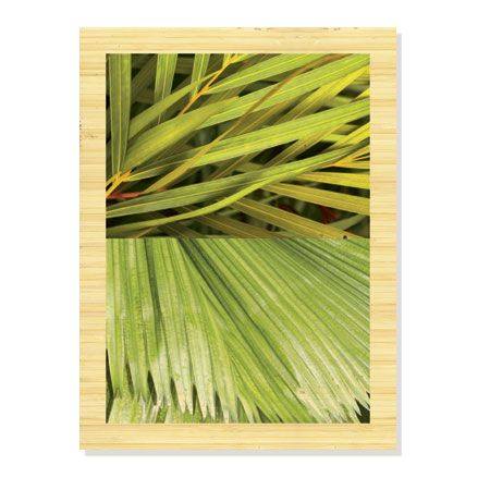 MJ Lew Limited Edition Ready to Hang Giclee on Sustainable Bamboo: "Secret Garden II"