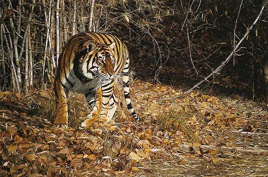Simon Combes Limited Edition Lithograph Print on Paper:"Indian Summer"