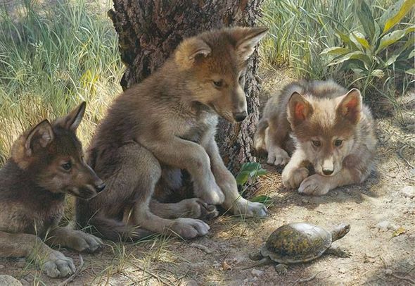 Carl Brenders Artist Signed and Numbered Limited Edition Canvas Giclee:"The Shell Game"