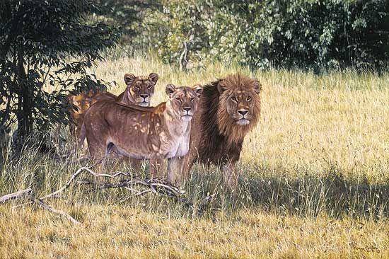 Simon Combes Limited Edition Lithograph Print on Paper:"Pride"