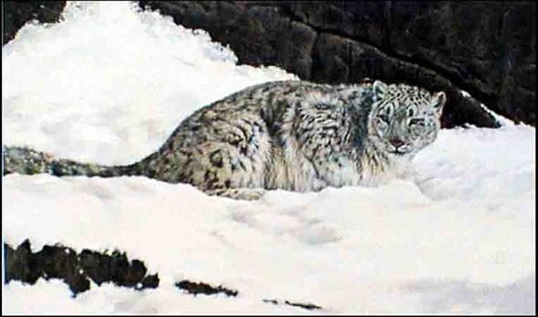 Morten E. Solberg Hand Signed and Numbered Limited Edition Print :" Where The Trail Ends "