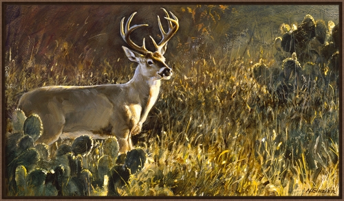 Nancy Glazier 29 X 50 Float Framed Canvas Giclee Art:"Southwest Sundown"