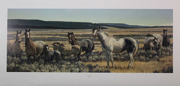 NANCY GLAZIER 14X35 Secondary Market Art: "AMAZING GRAYS V"