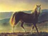 NANCY GLAZIER 15X20 Secondary Market Art: "BLAZE STAR FOAL 2PCS"
