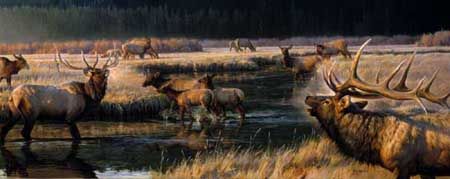 NANCY GLAZIER 15X36 Secondary Market Art: "MORNING FROST"