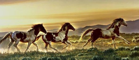 NANCY GLAZIER 16X34 Secondary Market Art: "EARLY MORNING RU APCNV"