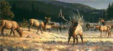 NANCY GLAZIER 16X34 Secondary Market Art: "ROCKY MTN MEADOW"