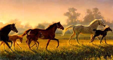 NANCY GLAZIER 17X34 Secondary Market Art: "BRAND NEW HOPE"