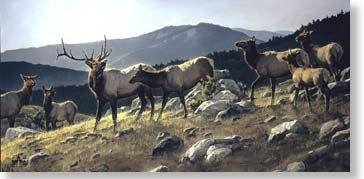 NANCY GLAZIER 17X34  Secondary Market Art: "HIGH COUNTRY CNV"