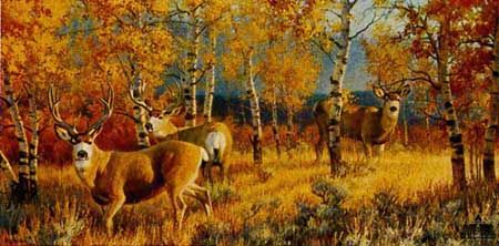 NANCY GLAZIER 17X34 Secondary Market Art: "MORNING GOLD CNV"