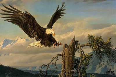 NANCY GLAZIER 20X30 Secondary Market Art: "POWER LANDING"