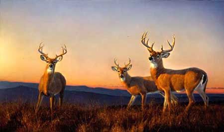 NANCY GLAZIER 20X34 Secondary Market Art: "SUNDOWN"