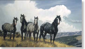 NANCY GLAZIER 20X35 Secondary Market Art: "AMAZING GRAYS IV"