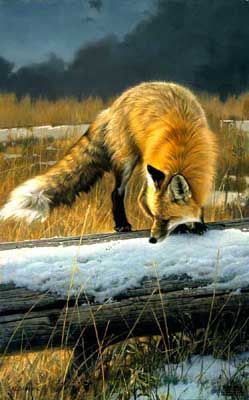 NANCY GLAZIER 22X14 Secondary Market Art: "OUT FOR LUNCH FOX"