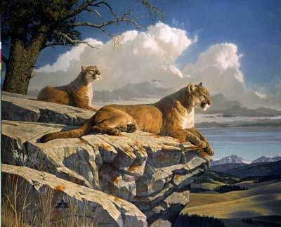 NANCY GLAZIER 22X28 Secondary Market Art: "OUTLOOK"